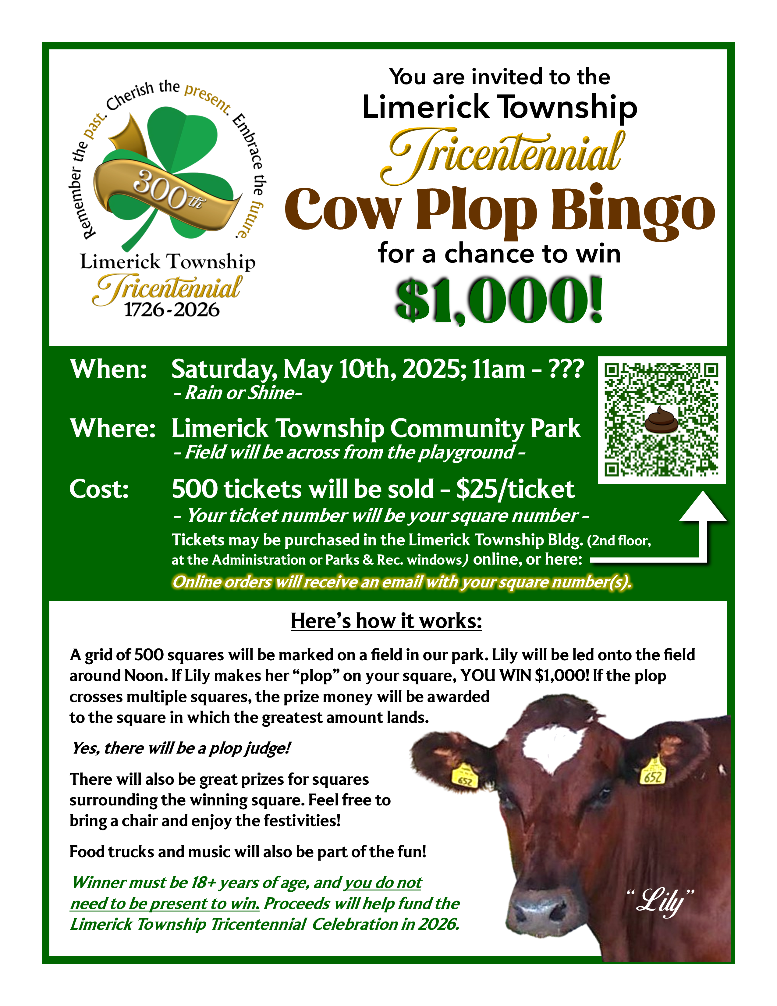 Cow plop bingo flyer